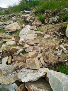 Wanderung Adlerlounge Tirol