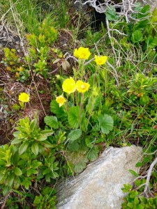 Wanderung zur Adlerlounge Tirol