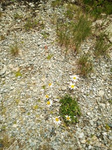 Wanderung zur Adlerlounge Tirol