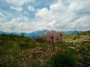 Wanderung zur Adlerlounge Tirol