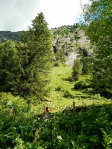 Wanderung zu den Umbaltalfällen Tirol